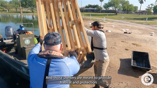 43K views · 390 reactions |  Exciting news from Edinburg Municipal Park Pond! Thanks to a generous grant, Texas Parks & Wildlife has installed fish shelters—a first for Edinburg! These new structures provide safe habitats for bass, helping to create a more vibrant pond ecosystem. Big thanks to TPWD for supporting the future of local fishing and enhancing outdoor fun for our community! #LiveEdinburg | City of Edinburg-Government | Facebook