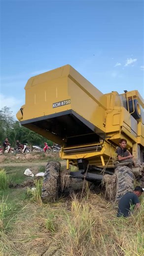 The Essence of Rice Cultivation in Indonesia
