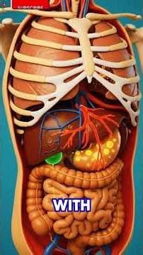 Chicken Fry: Good Side vs Bad Side 🍗 | Inside Body Reaction #shorts
