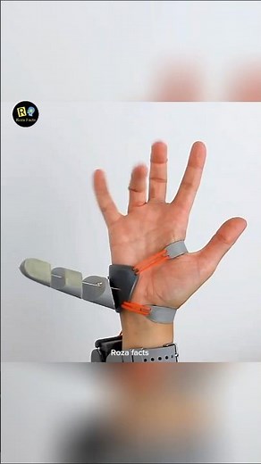 When Your Brain Accepts A Sixth Finger