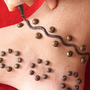 I'm classy and sassy | Amisha Arts