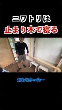 夫のこだわりが詰まった鶏小屋。みんなで見てあげてください。#鶏小屋DIY#DIY#田舎暮らし#セルフリノベーション#夫婦DIY