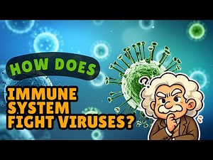 How Does the Immune System Actually Fight Viruses? [ID1603]
