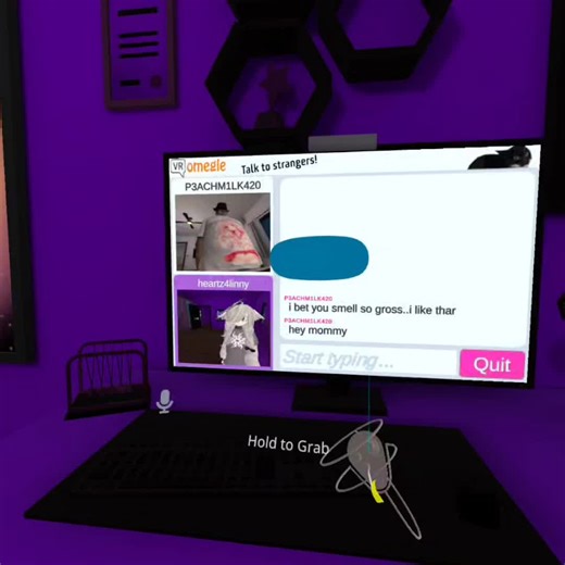 Exploring VR Chat Chaos in Social Interactions