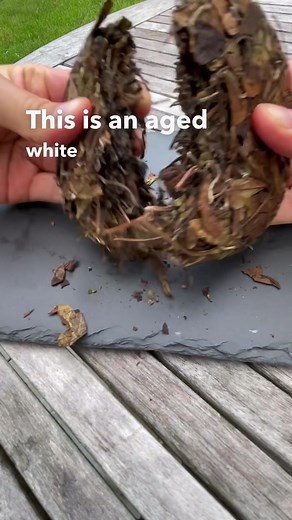 Aged White Tea Cake - Chinese Gongfu Tea Leaf Cake