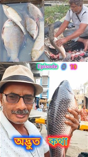 Seller Said “Leave!” Then Deal Changed #shorts #fishmarket #shortsindia