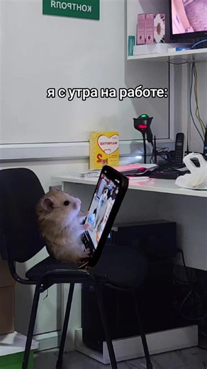 😆#Meme #MemeCut #CapCut | meme