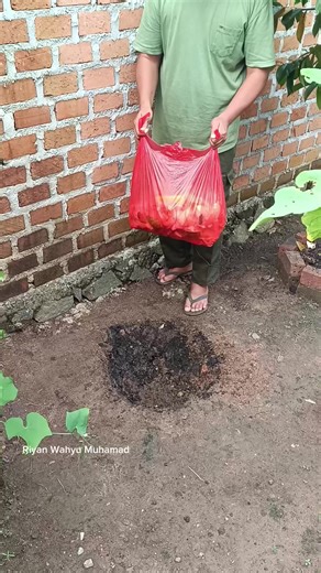 membuat kompos langsung di tanah | making compost