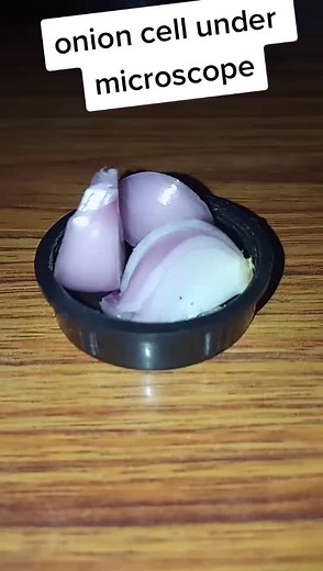 Sanchita Pandey on TikTok