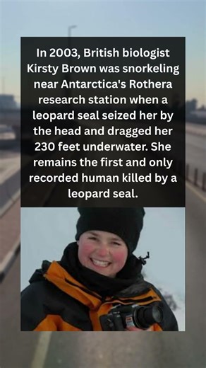 In 2003, British biologist Kirsty Brown was snorkeling near Antarctica's