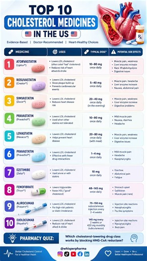 Top 10 Cholesterol Medicines in the US: Uses & Drug Classes Explained