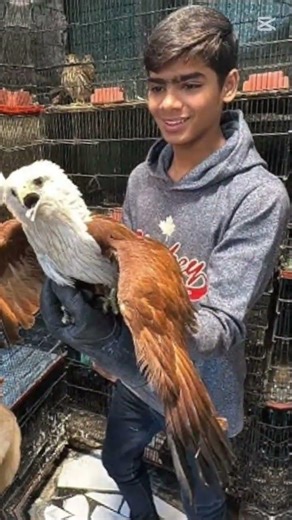 #waleed subhan and mamu photo video#pleasesubscribe #viralshorts #trendingshorts