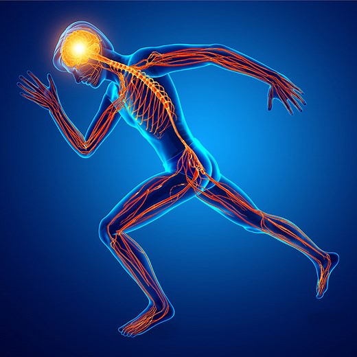 Muscle Energy Technique (MET) | Hands-On Companies