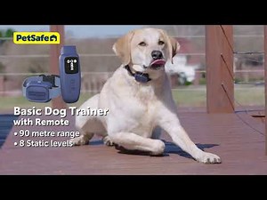 Discover PetSafe® Remote Trainers – Basic, Core and Pro