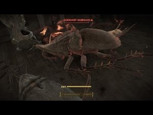 Fallout 4 Legendary radroach