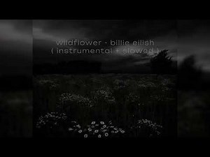 WILDFLOWER - Billie Eilish (Instrumental Slowed)
