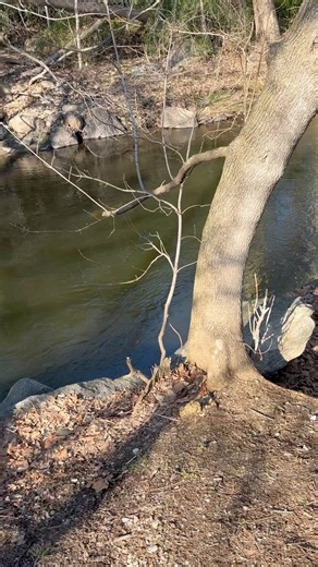 Finding cool things at the river