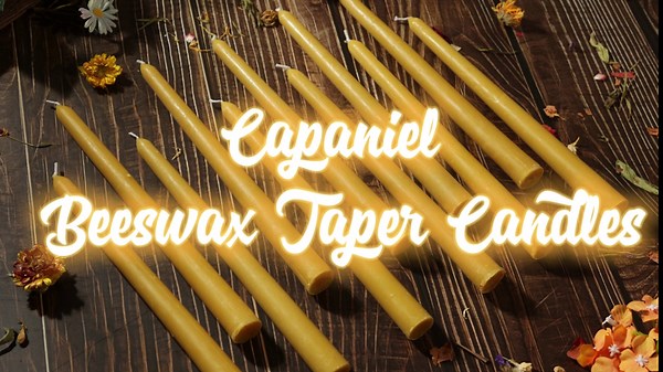 24 Packs Natural Beeswax Taper Candles 8 inch Beeswax Candles Smokeless Unscented Pure Bees Wax Candlesticks 8 Hour Burn Time Dripless Bees Wax Candles for Home Prayer