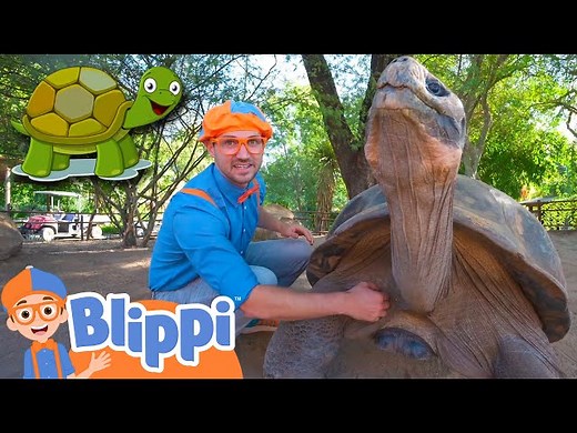 Blippi Visits a Zoo And Learns About Animals! | Fun and Educational Videos for Kids - Videos For Kids