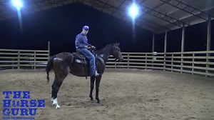 Struggling with getting stable in your saddle? In this Free lesson you'll learn: ✅ How to balance your body. ✅ How to feel confident in your saddle. ✅ How to properly position your legs. ✅ How to clearly communicate to your horse. Learn more: membership.horseguru.com/join-now | Horse Help With Michael Gascon