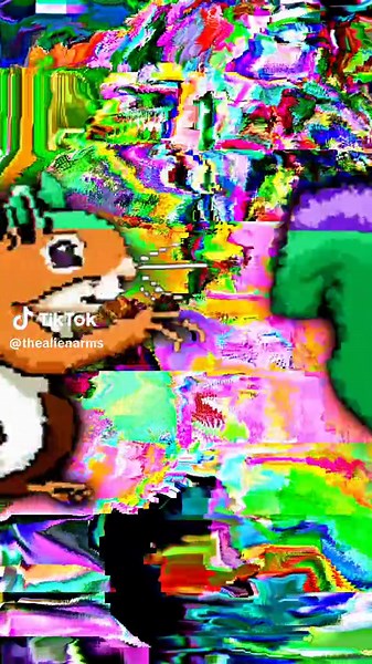 🐿️🐿️🐿️🐿️🐿️