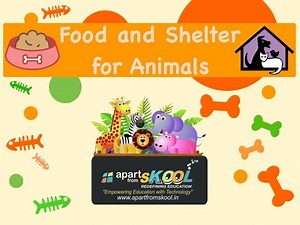 Food And Shelter For Animals