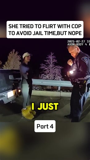 Driving with Smurfs: A Comedic Police Encounter