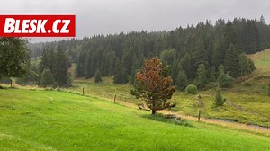 2.9K views · 46 reactions | Šumavská Kvilda hlásí 8 stupňů a déšt.略Jak je u vás? Kdy se oteplí?  https://pocasi.blesk.cz/clanek/zpravy-pocasi/749925/destivo-a-chladno-v-cesku-hrozi-i-bourky-sledujte-radar-blesku-a-kdy-se-otepli | Blesk.cz | Facebook