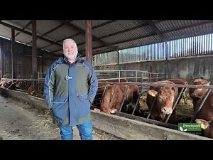 From Silage to Finishing: How Graham Kavanagh Runs a High-Performance Beef System