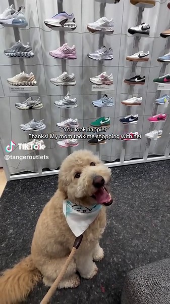 Discover Affordable Fashion at Tanger Outlet Stores