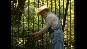 El Doctor Molina cancela la deuda del hospital a Citlali | Infancia Novelas