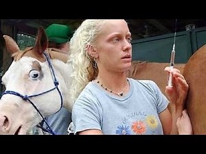 Only the best and funniest ANIMAL moments #10 - Funny animal compilation - Watch & laugh!