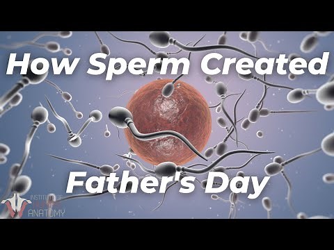 Thanks For Creating Me Dad… With Your Testicles
