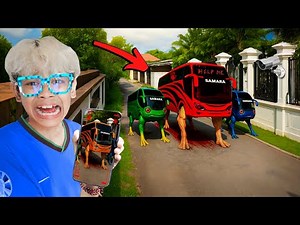 TEREKAM CCTV PASUKAN BUS WARNA - WARNI DATANG MENYERANG RUMAH BOCIL!!!