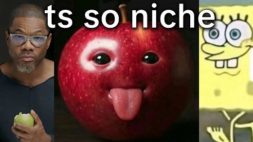 TikTok Niche Community / NicheTok | Know Your Meme