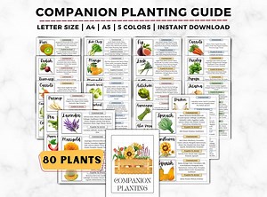 Companion Planting Guide: Easy Companion Chart, Plant Combinations for A Thriving Garden, Attract Pollinators & Repel Pests Printable PDF - Etsy