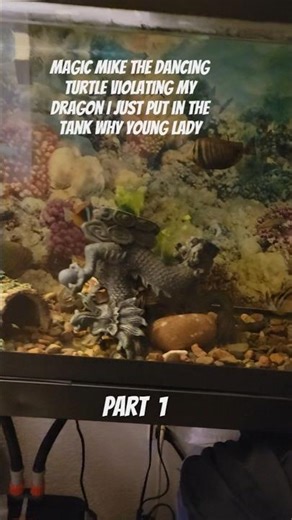 Magic Mike the dancing turtle part 1 doing damage to my tank