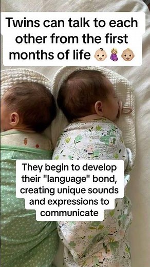 Twins in the womb: how do two babies develop?👶🏼👶🏻
