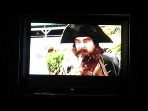 SpongeBob Movie Sponge out Of Water-Burger Beard on Land