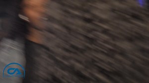 MARTIN TRIVIA RECAP! #BlackHistoryMonth #charlotteevents #thingstodoincharlotte #CreateAmazingLLC #MartinTrivia | Queen City Events