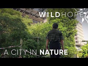 How Singapore’s Urban Design Makes Way for Wildlife | WILD HOPE