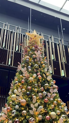 Christmas Eve Buffet Dinner – Celebrate with Us!