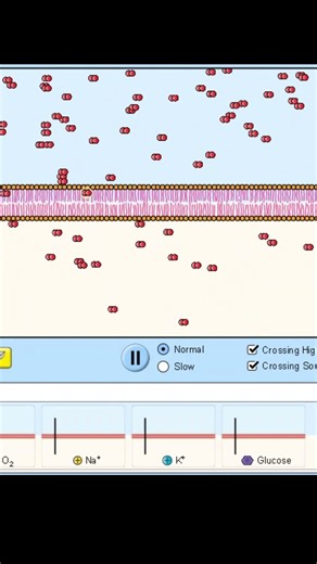 Diffusion simple #svt #science #biologie #biology