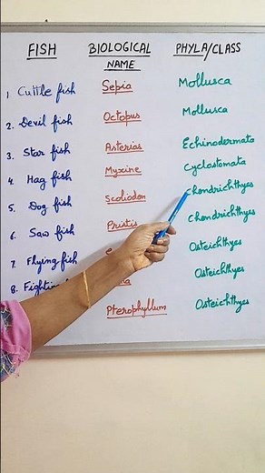 Some fishes you should know for NEET || superclass pisces #neet Biology