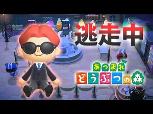 【あつ森】逃走中を森でやってみた 迷路メーデー編 inチョコミン島【実況】あつまれどうぶつの森