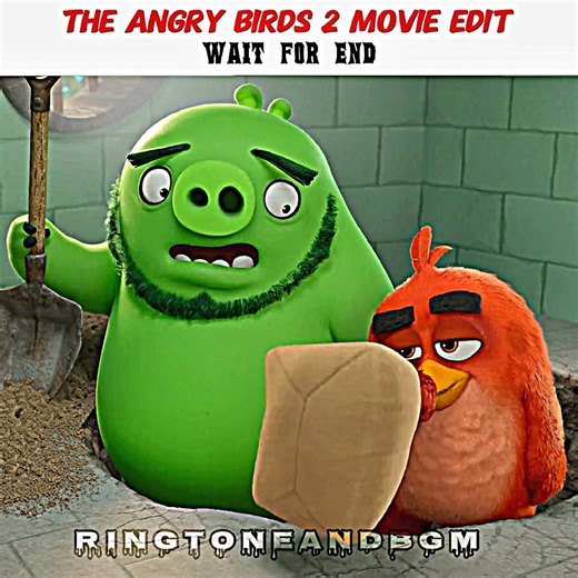 "This Bomb Blast"] 💥😱 The Angry Birds 2 Movie Edit #movie #edit