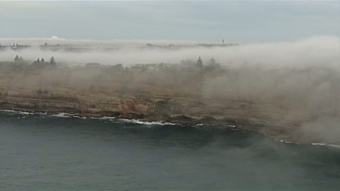 Fog envelopes harbor in Australia