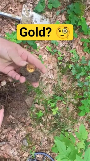 🧐 Gold??? 🧐 #sondeln #metaldetecting #sondeln #metalldetektor #treasuresearch