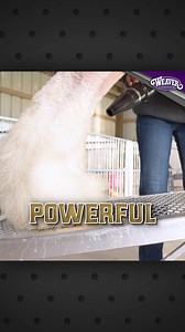 The ProAir Flex Livestock Blower is engineered to put a stream of fast drying air at your fingertips. | Weaver Livestock | Facebook