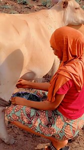 409K views · 14K reactions | Fula culture | In Sierra Leone we Trust | Facebook